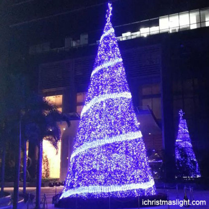 Beautiful big Christmas trees supplier