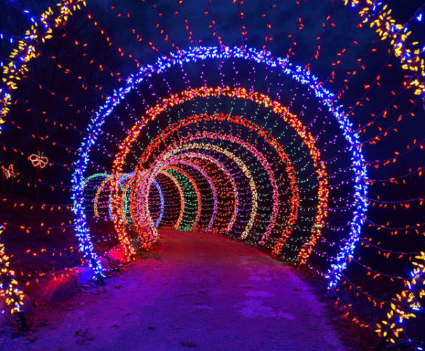 Christmas decorative LED fairy lighted tunnel