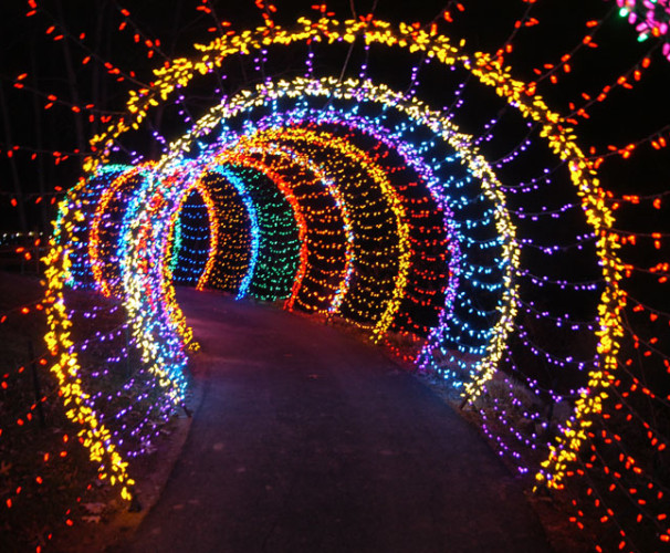 Christmas decorative LED fairy lighted tunnel iChristmasLight