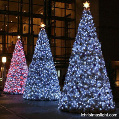 Big commercial wholesale Christmas trees