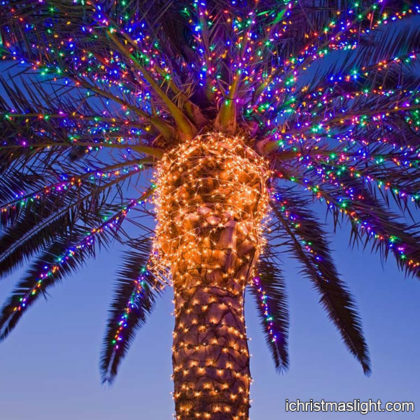 Outdoor string lights wrapping palm trees