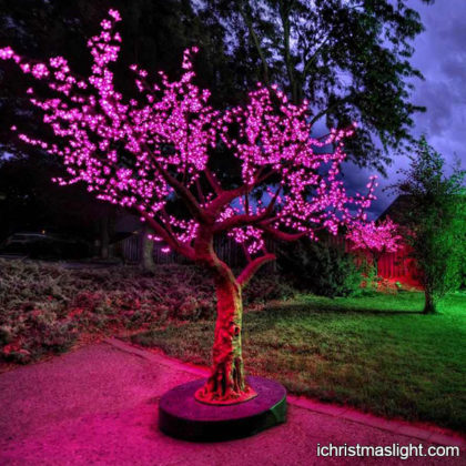 Outdoor pink light cherry blossom trees