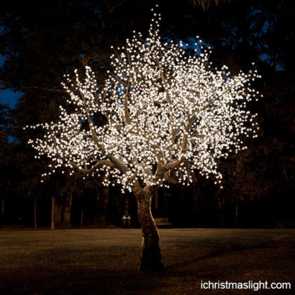 Warm white pre lit cherry tree for sale