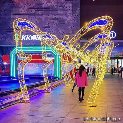 Butterfly light tunnel warm white LED arches